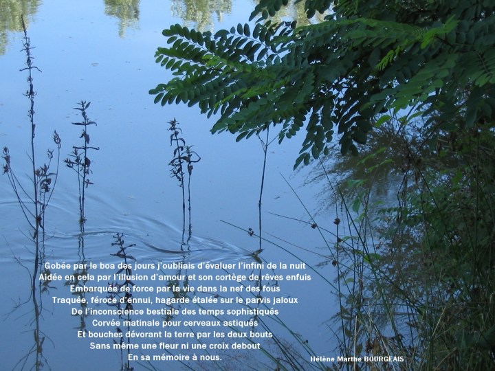 Gobée par le boa des jours