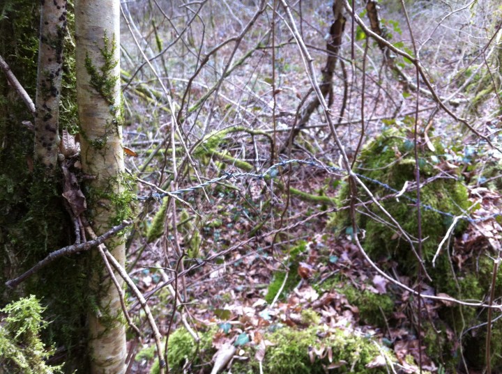 68C24D4C-4BCD-4767-9B52-11700D65B676