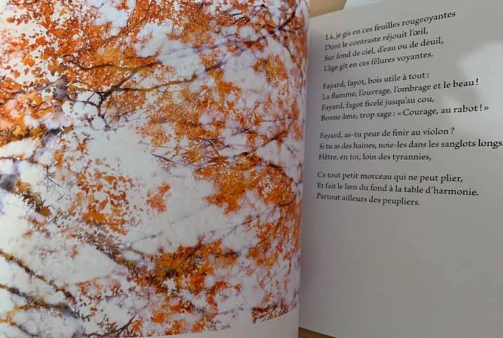 Arboretum pages 18-19